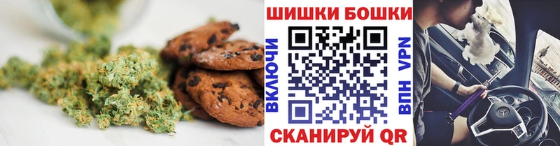 shop официальный сайт  Зима  Canna-Cookies марихуана 