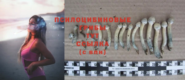 синтетический гашиш Арсеньев