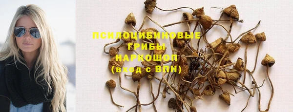 jwh Аркадак