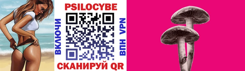наркошоп  Зима  Псилоцибиновые грибы Psilocybine cubensis 